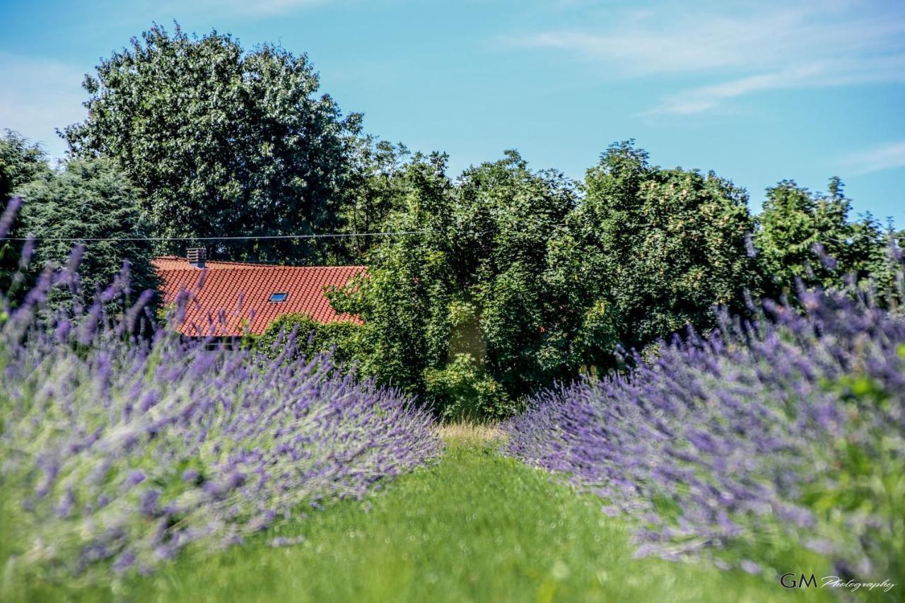 Azienda agricola La Macina Bregnano Esterno foto